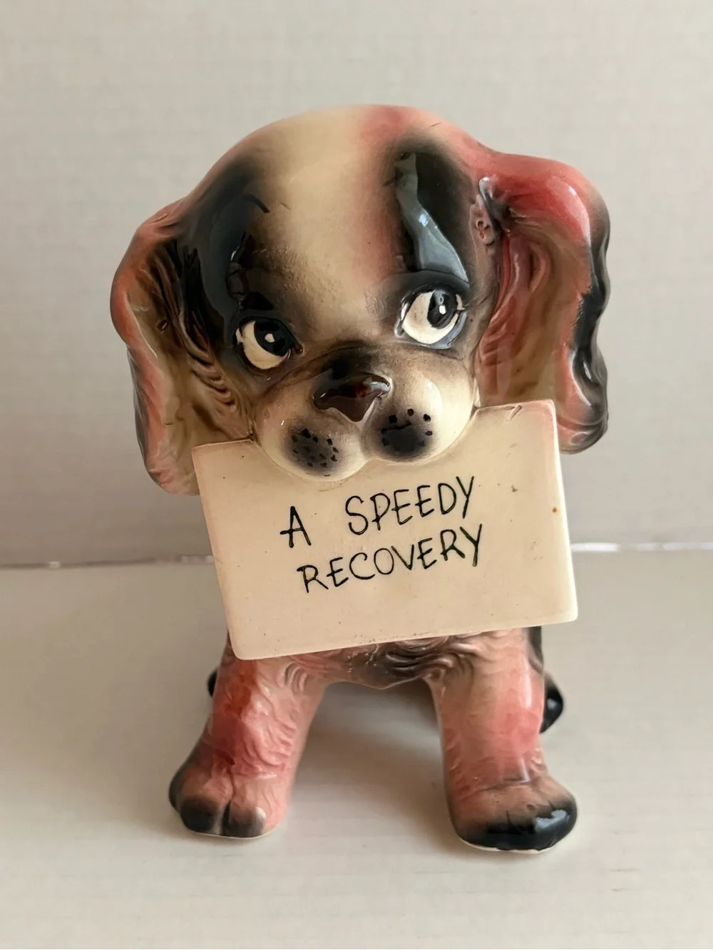 Vintage Ceramic Dog planter  'A Speedy Recovery'